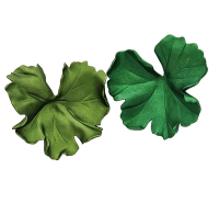 Jar Geranium Leaf Earrings